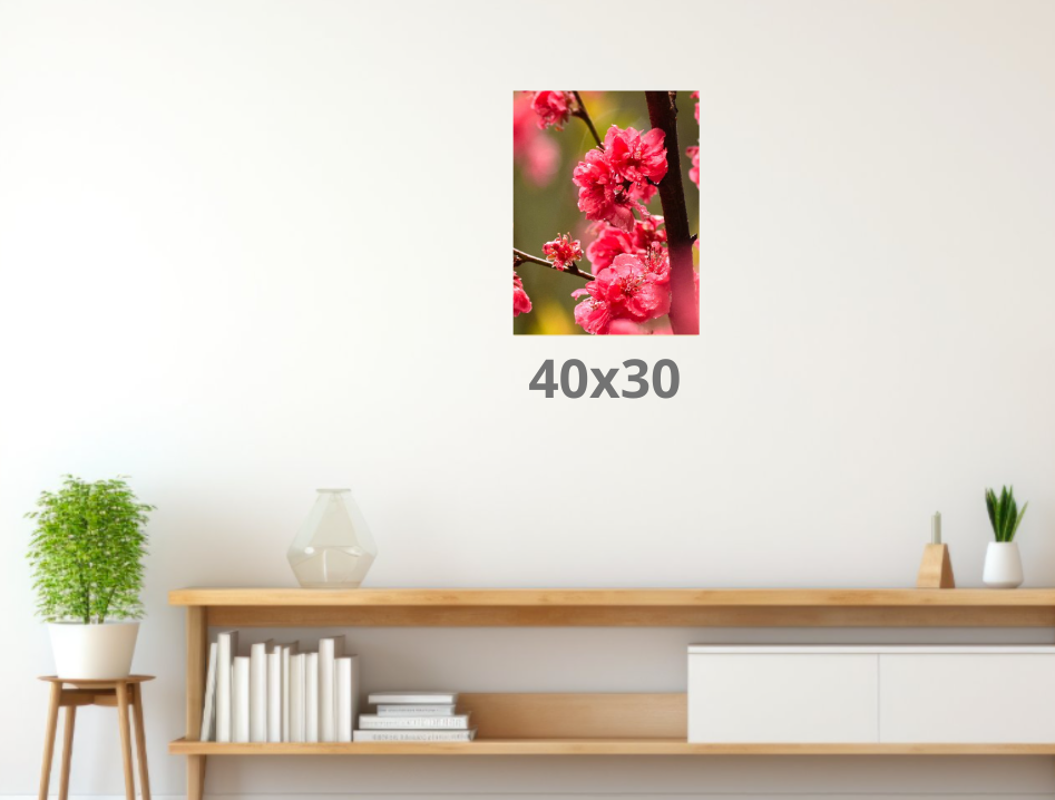 Cuadro de 40x30